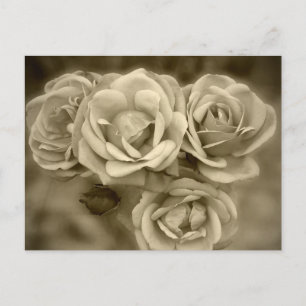 Carte Postale Vintage Roses