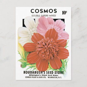 Carte Postale Vintage Seed Packet Art, Cosmos Garden Flowers