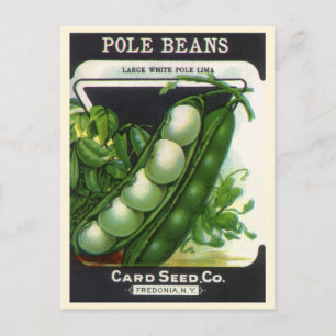 Carte Postale Vintage Seed Packet Label Art, Pole Lima Beans