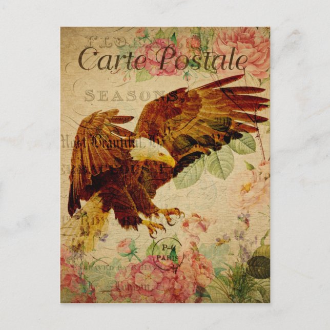 Carte Postale vintage Style Bald Eagle (Devant)