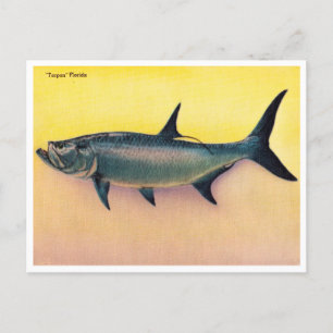 Carte postale vintage Tarpon Florida Travel
