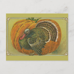 Carte Postale Vintage Thanksgiving salut dinde et citrouille