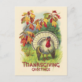 Carte postale vintage Thanksgiving Turkey