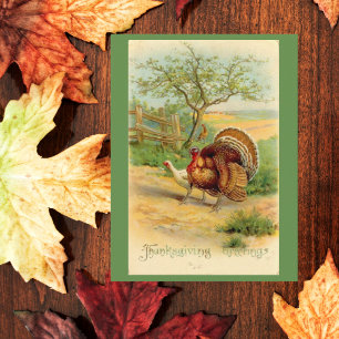 Carte Postale Vintage Thanksgiving Turquie et poulet en pâturage