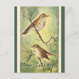 Carte postale vintage Thrushes