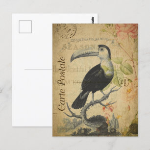 Carte Postale Vintage Toucan Bird