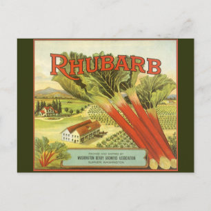 Carte Postale Vintage Vegetable Can Label Art, Rhubarb Farm