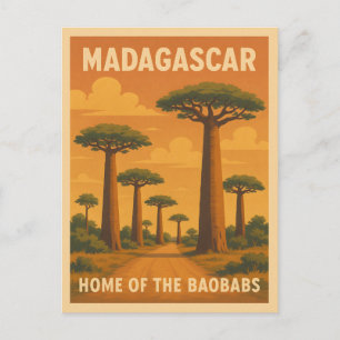Carte Postale Vintage voyage rétro Madagascar Baobab Tree Sunset