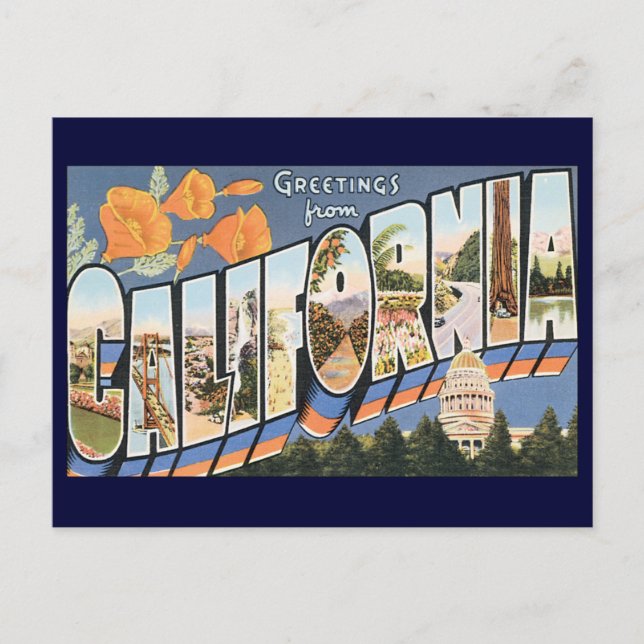 Carte Postale Vintage voyage, salutations de California Poppies (Devant)