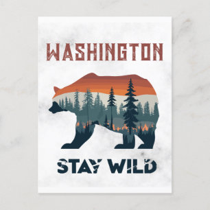 Carte Postale Vintage Washington Bear Stay Wild Travel