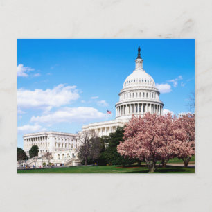 Carte postale vintage Washington DC