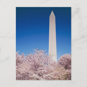 Carte postale vintage Washington DC