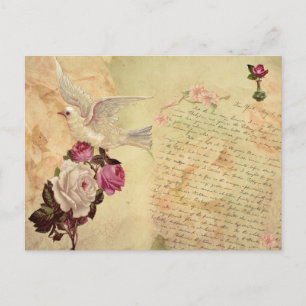 Carte postale vintage White Dove Shabby Chic