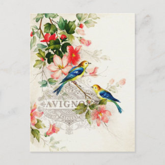 Carte Postale Vintages oiseaux romantiques français stationnaire