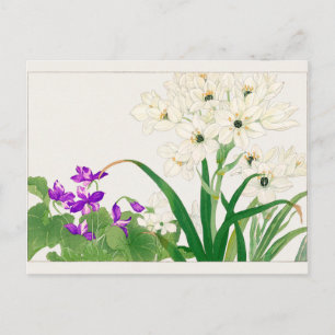 Carte Postale Viola, fleur d'étoile arabe par Tanigami Konan