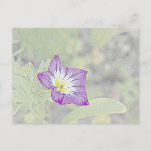 Carte Postale Violet