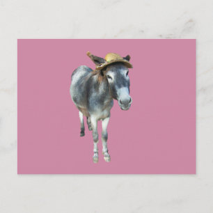 Carte Postale Violet l'âne dans Casquette de paille avec fleurs
