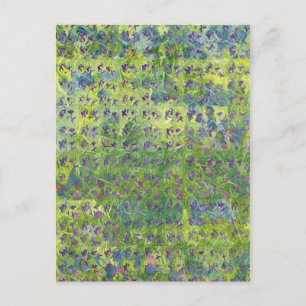 Carte Postale Violets doux 2012