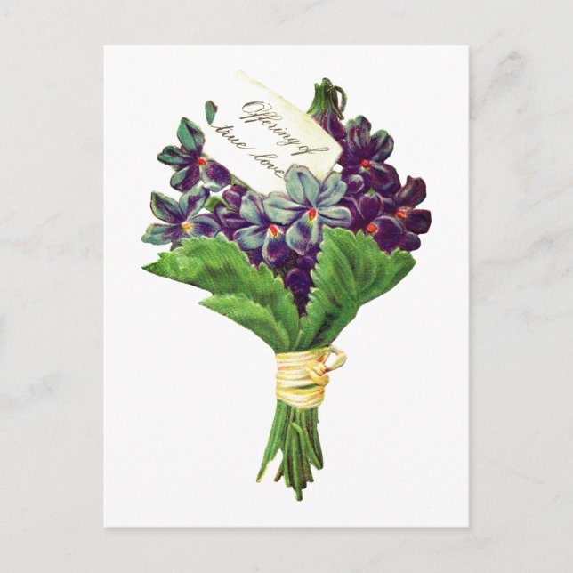 Carte Postale Violets vintages d'amour (Devant)
