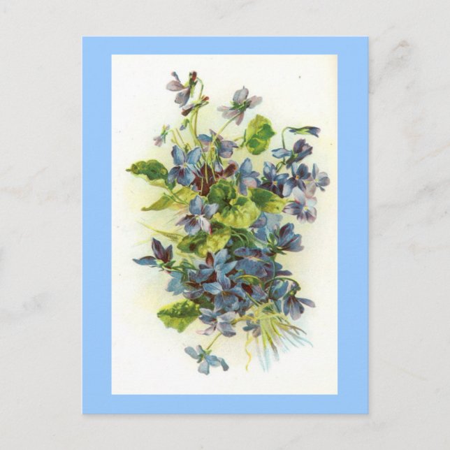 Carte Postale violettes (Devant)