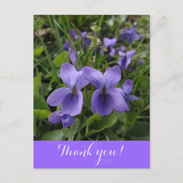 Carte Postale violettes (Devant)