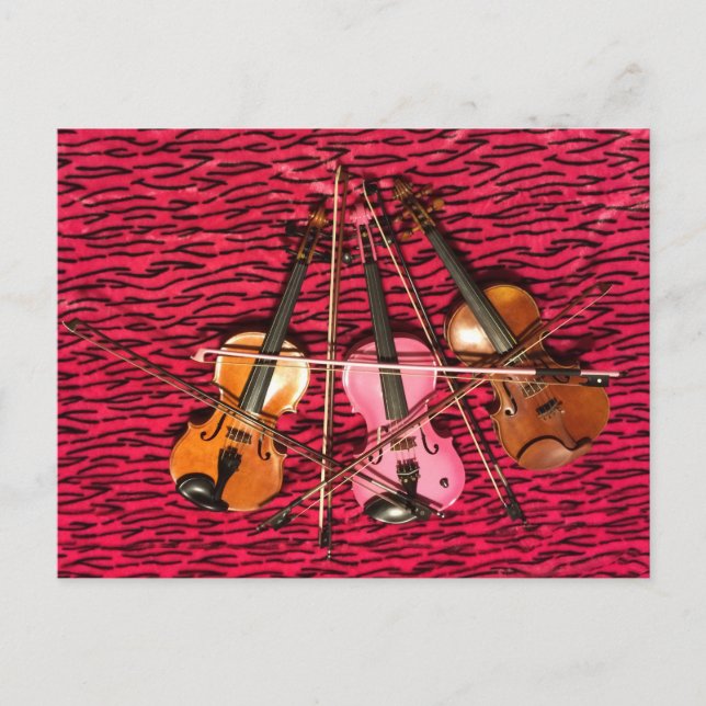 Carte Postale Violon Cadeaux photo (Devant)