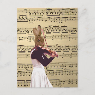 Carte Postale Violoniste de lapin de lapin