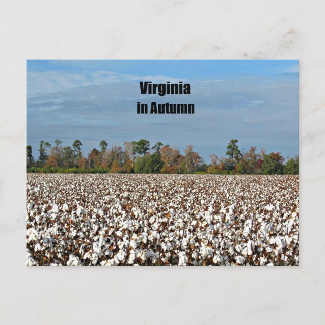 Carte Postale Virginie en automne (Devant)