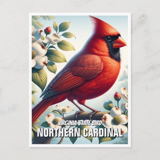 Carte Postale Virginie State Bird Northern Cardinal (Devant)