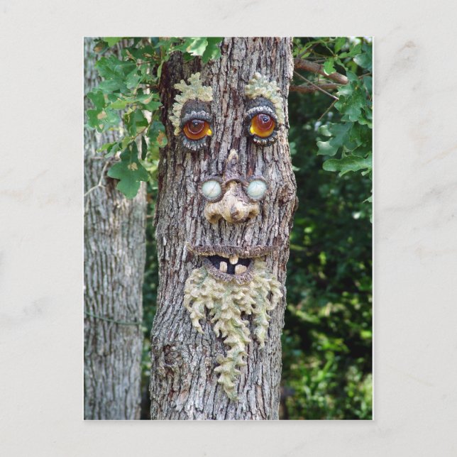 Carte Postale Visage d'arbre (Devant)