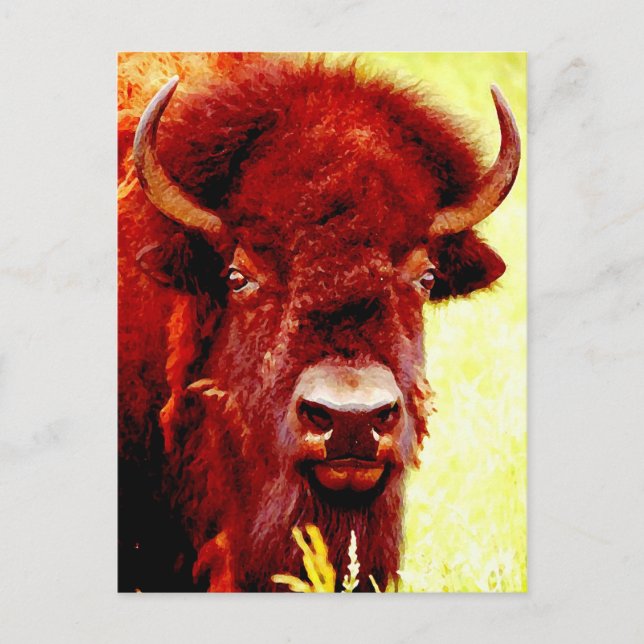 Carte Postale Visage de bison/buffle (Devant)