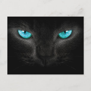 Carte Postale Visage de chat noir aux yeux Turquoise