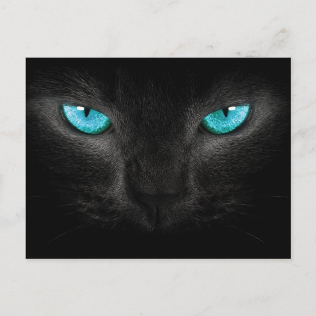 Carte Postale Visage de chat noir aux yeux Turquoise (Devant)