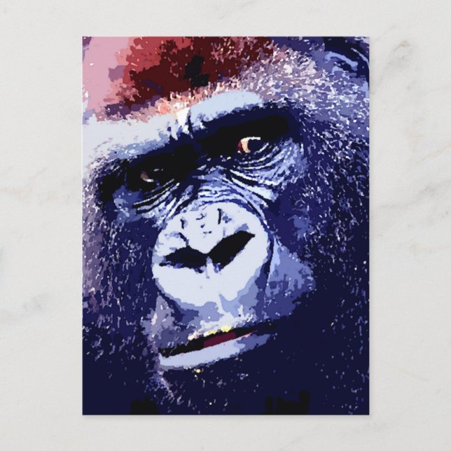 Carte Postale Visage de Gorilla (Devant)