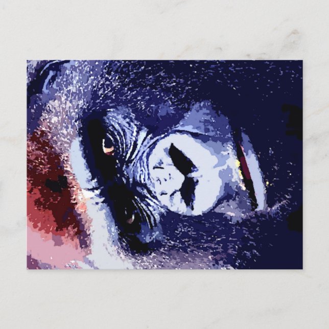Carte Postale Visage de Gorilla (Devant)