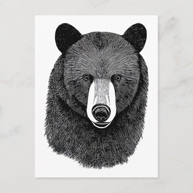 Carte Postale Visage de l'ours noir dessin original de l'art ani (Devant)