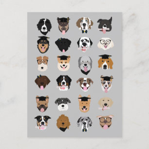 Carte Postale Visages de chien de fin d'études