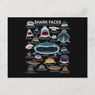 Carte Postale Visages de requins auxquels vous voulez participer