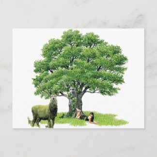 Carte Postale Visite Avec Le Père Oak