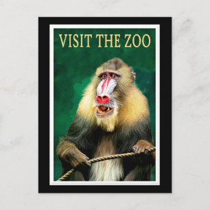 Carte Postale Visitez le Zoo, ancienne affiche de voyage