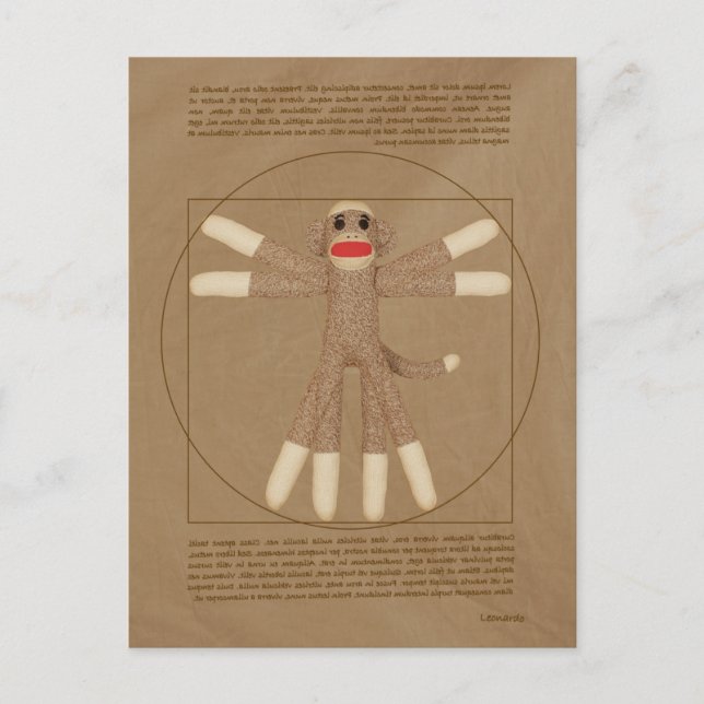 Carte postale Vitruvian Monkey (Devant)