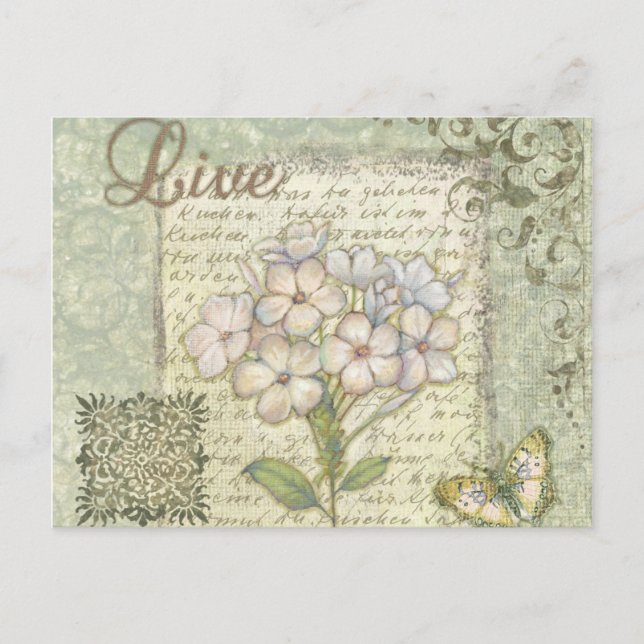 Carte Postale Vivant (Devant)