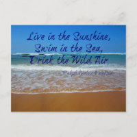 Vivez au soleil, nagez et buvez