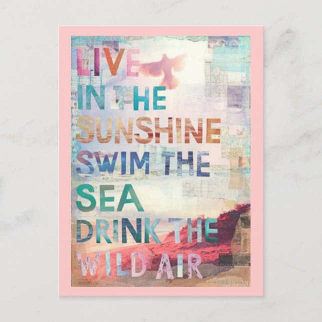 Carte Postale Vivez sous le soleil (Devant)