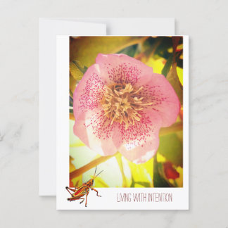 Carte Postale Vivre avec intention. Helleborus (Rose de Lenten)