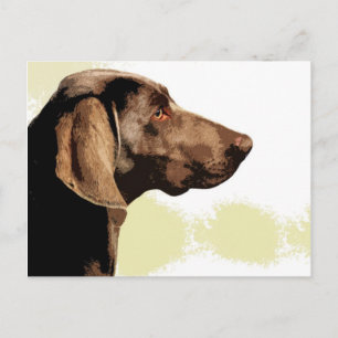 Carte Postale Vizsla