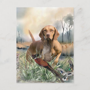 Carte Postale Vizsla, Art