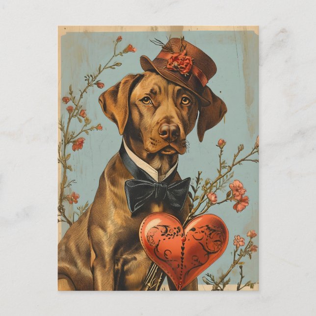 Carte Postale Vizsla Saint Valentin Vintage (Devant)