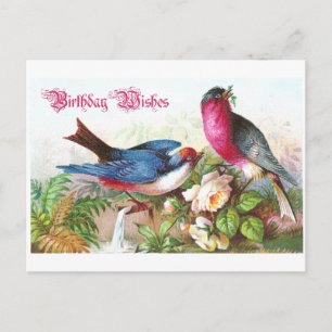 Carte Postale Voeux d'anniversaire