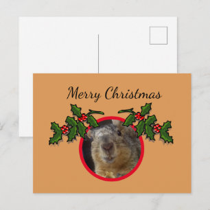 Carte postale - Vœux de Noël Écureuil